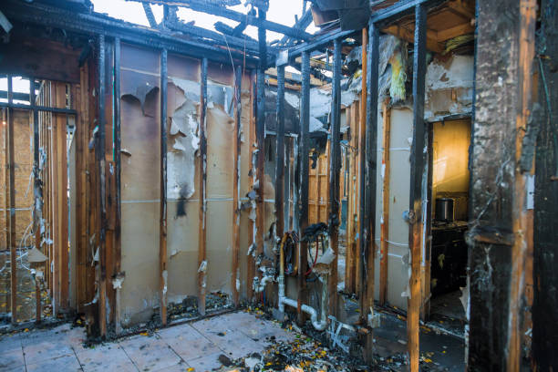 Professional Fire Damage Repair technician working in Cream Ridge, NJ